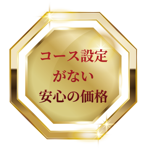 コース設定がない、安心の価格